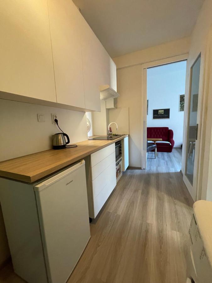 Red&Black Apartment City Centr, Na Hradbach 118 ออสตราวา ภายนอก รูปภาพ