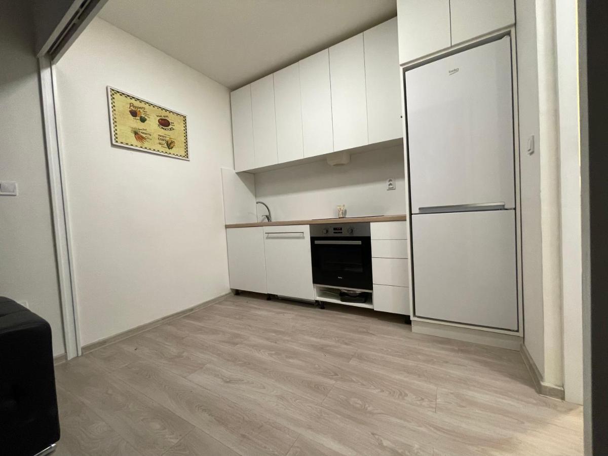 Red&Black Apartment City Centr, Na Hradbach 118 ออสตราวา ภายนอก รูปภาพ
