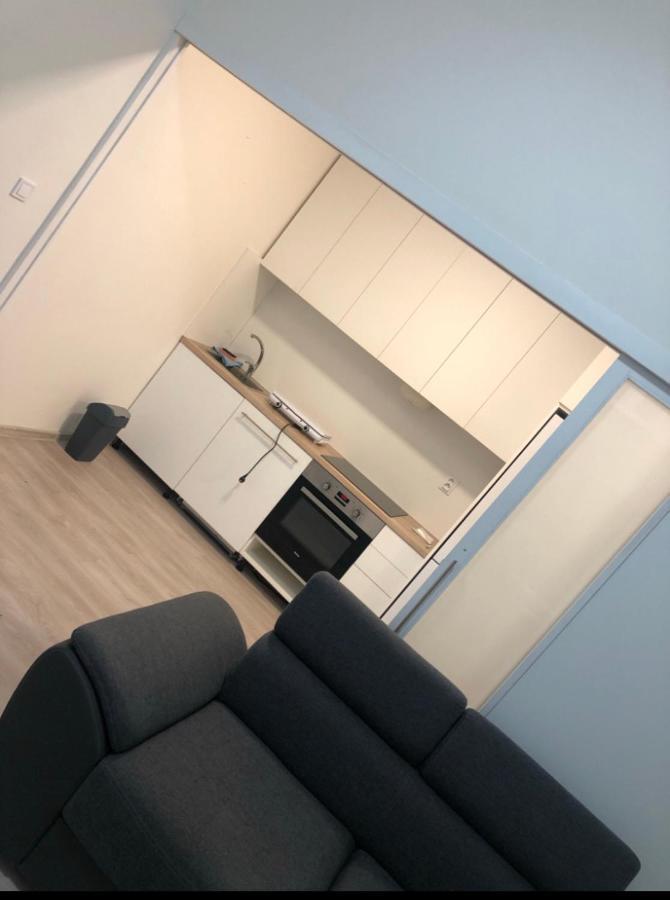 Red&Black Apartment City Centr, Na Hradbach 118 ออสตราวา ภายนอก รูปภาพ